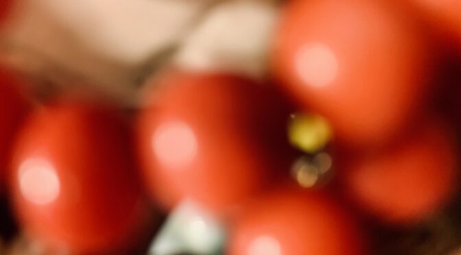 Little Drummer Boy on Streaming Platforms