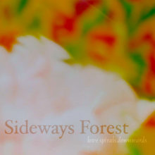 Expanded “Sideways Forest” Single Out Digitally