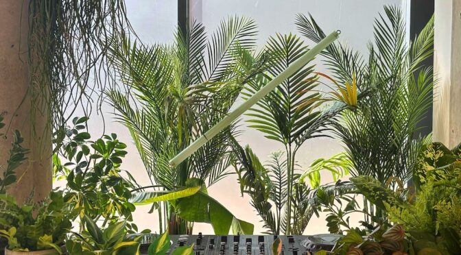 Sunset Bell Remix on RA Greenhouse Sessions